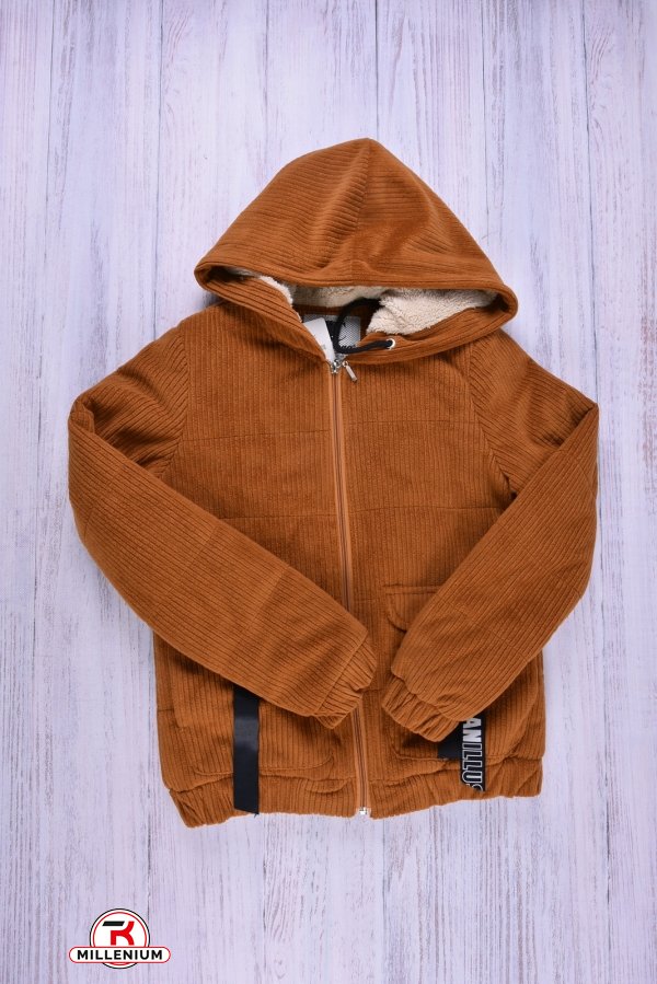Куртка женская велюровая  (цв.терракотовый) демисезонная GREMONA Размер в наличии : 38 арт.3150
