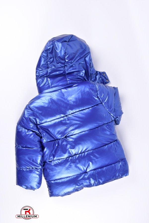 Куртка для девочки (цв.синий) из плащевки зимняя Рост в наличии : 104 арт.2021-53