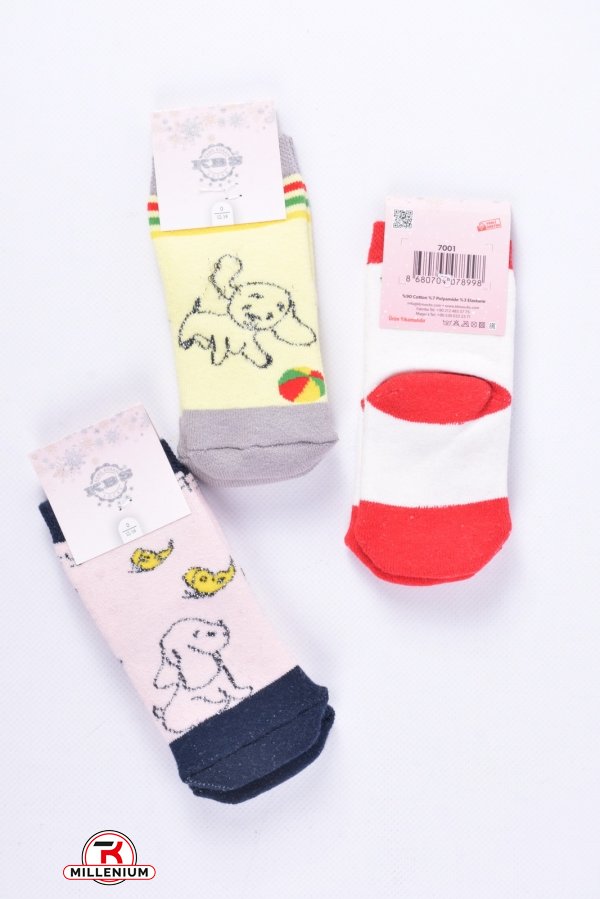 Шкарпетки махрові для дівчинки (3-4) KBS розмір 20-22 арт.3-20252