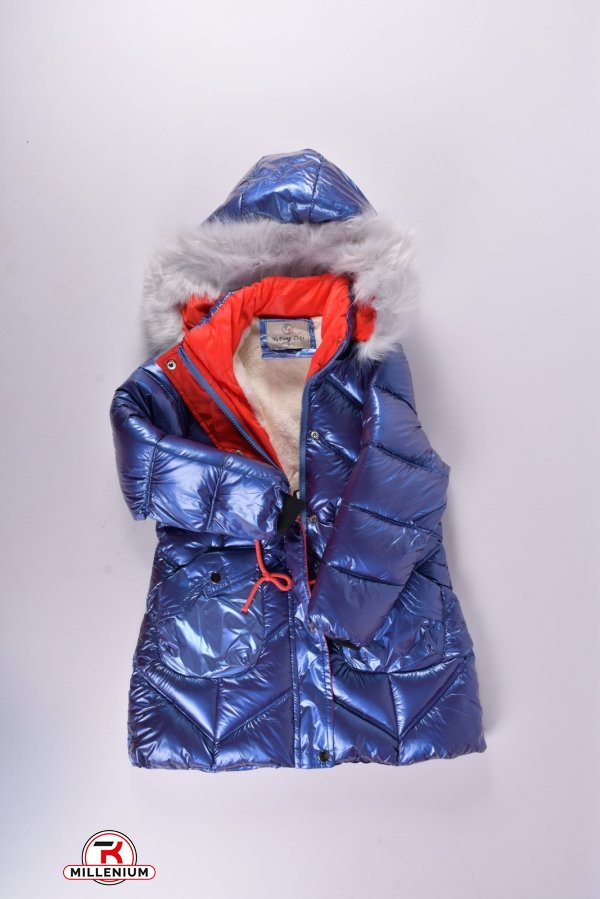 Куртка для девочки (цв.синий) зимняя болоневая Рост в наличии : 140, 146, 152 арт.21-38