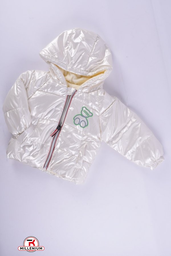 Куртка демісезонна дитяча (кол. білий) болонева Зріст в наявності : 86, 92, 98, 104, 110, 116 арт.DRTBEAR