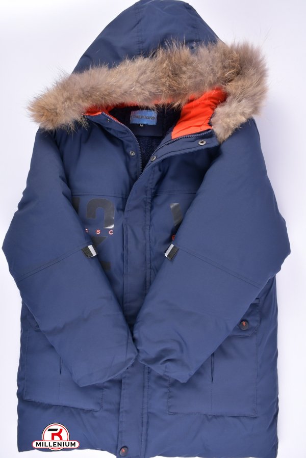 Куртка для хлопчика зимова (кол. т. синій) з плащової тканини з натуральною галявкою. Зріст в наявності : 128, 176 арт.2128