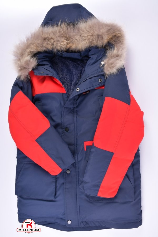 Куртка для хлопчика зимова (кол. т. синій) з плащової тканини з натуральною галявкою. Зріст в наявності : 164, 176 арт.2086