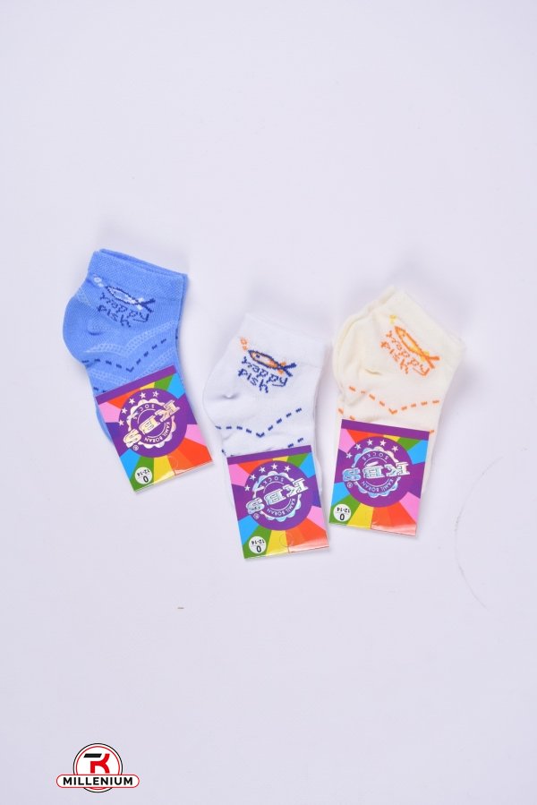 Шкарпетки для хлопчика всесезонні "KBS" розмір 12-14 арт.3-10634