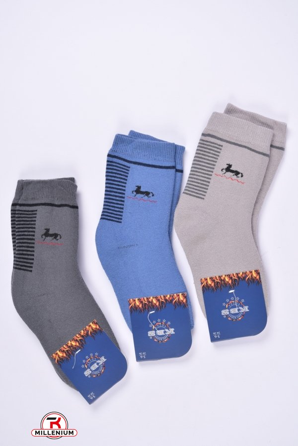 Шкарпетки махрові для хлопчика (5-6) KBS розмір 24-26 арт.3-20244