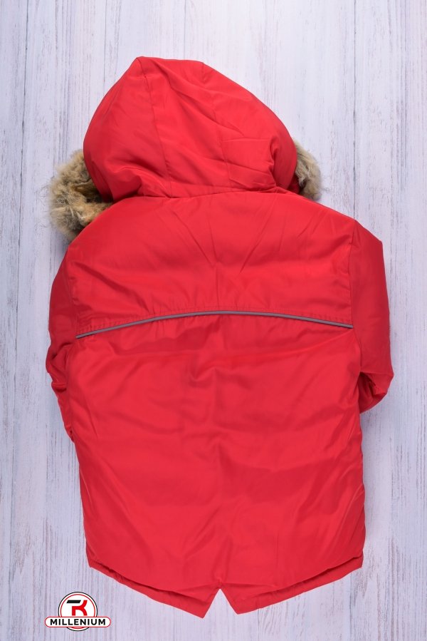 Куртка для мальчика (цв.красный) зимняя из плащевки (капюшон натуральный мех) Рост в наличии : 122 арт.21-29