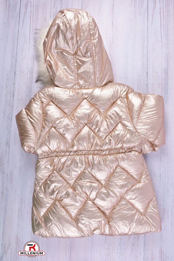 Куртка для девочки (цв.латте) болоневая на меху Рост в наличии : 92, 104, 110 арт.2021-8