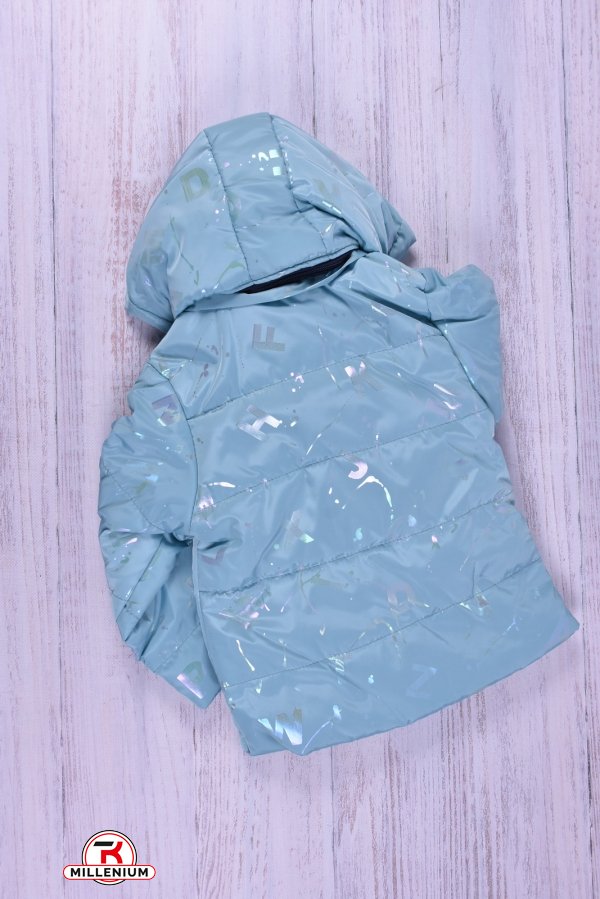 Куртка для дівчинки (кол. блакитний) демісезонна болонева "ELEGANCE" Зріст в наявності : 98 арт.47