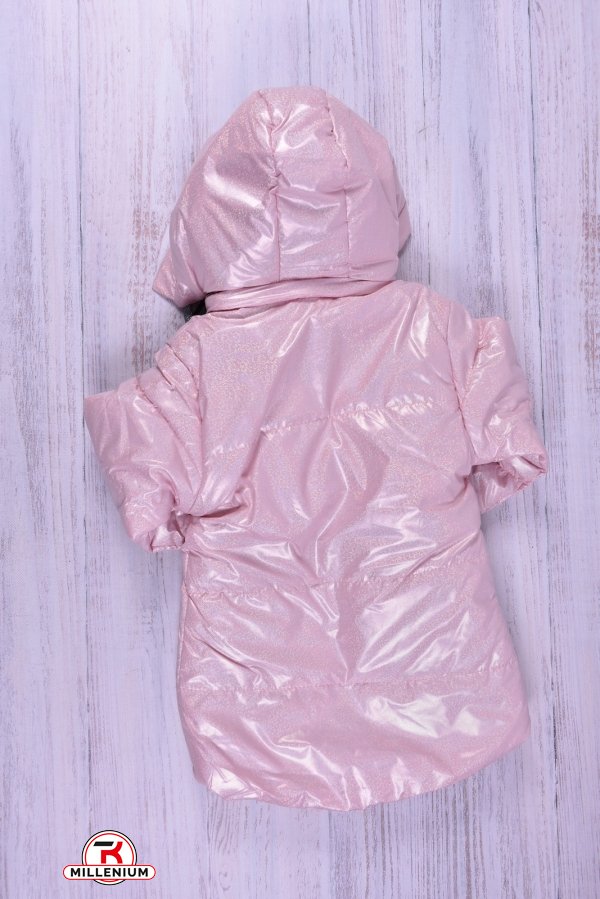 Куртка для дівчинки (кол. рожевий) демісезонна болонева Зріст в наявності : 92, 104 арт.686