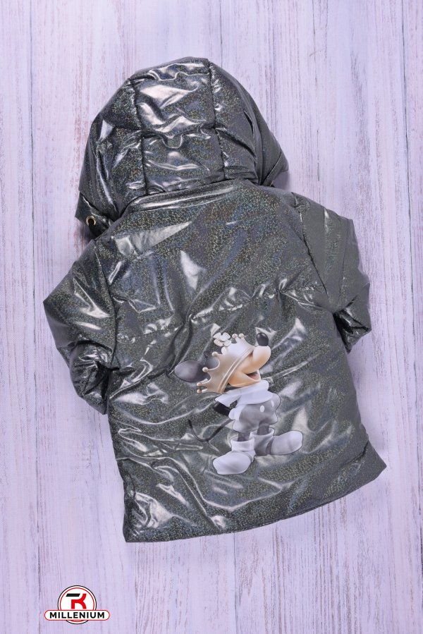 Куртка для девочки (цв.серый) демисезонная болоневая Рост в наличии : 80, 86 арт.030