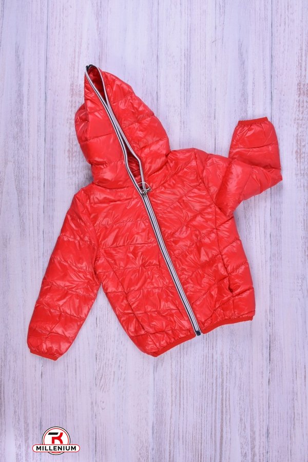 Куртка для девочки (цв.красный) болоневая Рост в наличии : 92, 98, 104, 110, 116 арт.013