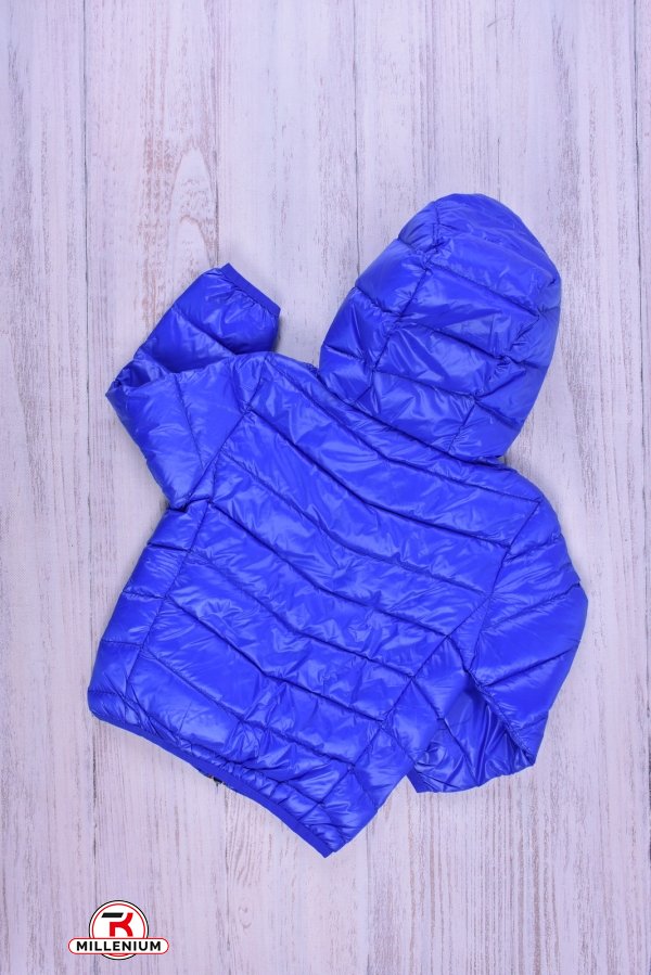 Куртка для девочки (цв.синий) болоневая Рост в наличии : 92, 104, 110, 116 арт.013