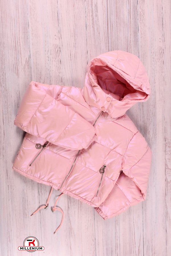 Куртка для девочки демисезонная (цв.розовый) из плащевки Рост в наличии : 146, 152 арт.M23117