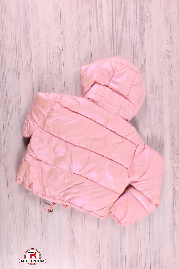 Куртка для девочки демисезонная (цв.розовый) из плащевки Рост в наличии : 146, 152 арт.M23117
