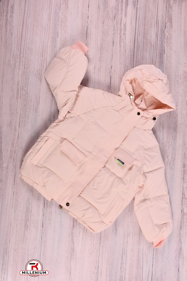 Куртка для дівчинки (кол. пудри) з плащової тканини зимова Зріст в наявності : 134, 140 арт.2023-2
