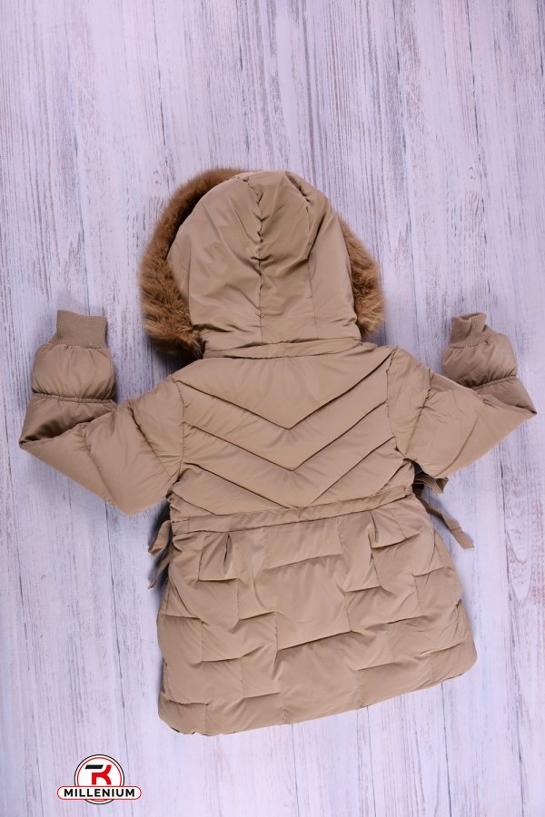 Куртка для девочки (цв.капучино) болоневая зимняя Рост в наличии : 128, 152 арт.2186