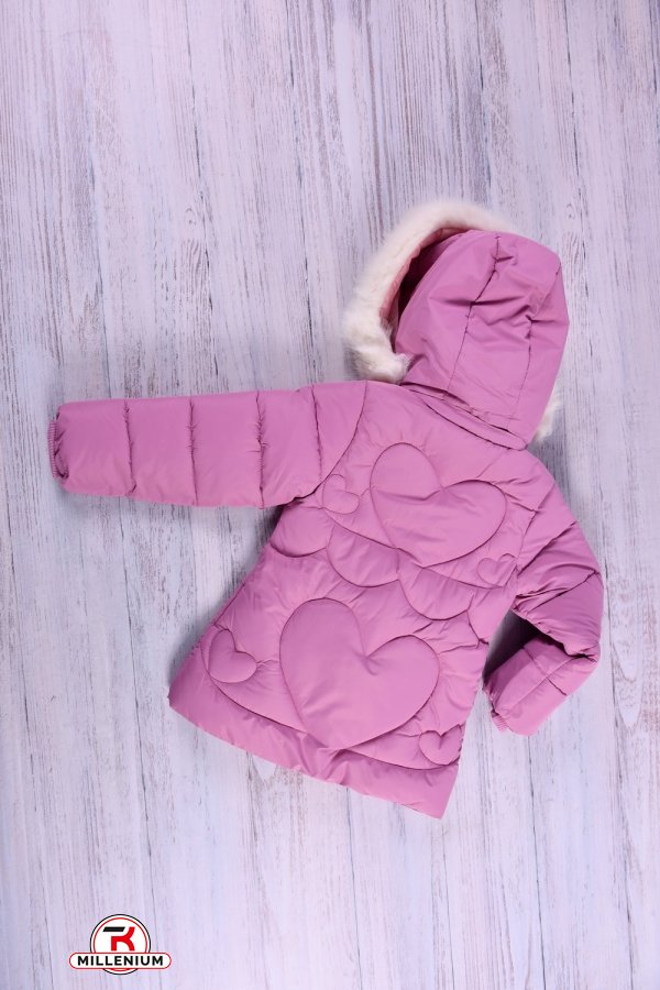 Куртка для девочки (цв.капучино) болоневая зимняя Рост в наличии : 128, 152 арт.2186