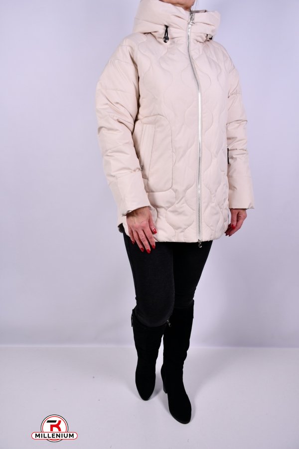 Куртка женская из плащевки зимняя (color V037) Размеры в наличии : 48, 50, 56 арт.HM1150