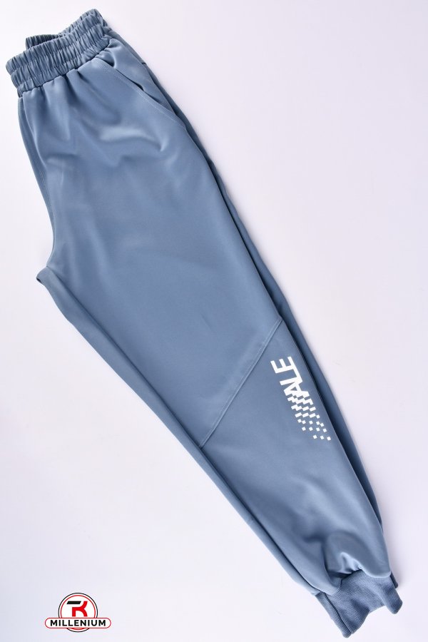 Штани чоловічі спортивні (кол. синій) (95% Polyester 5% Spandex) "ALE" Розміри в наявності : 58, 62 арт.901705