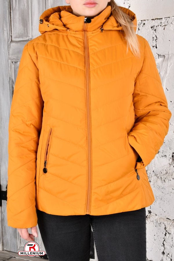 Куртка жіноча (цв. гірчичний) з плащової тканини демісезонна "FINEBELL" Розміри в наявності : 50, 54 арт.2036-1H