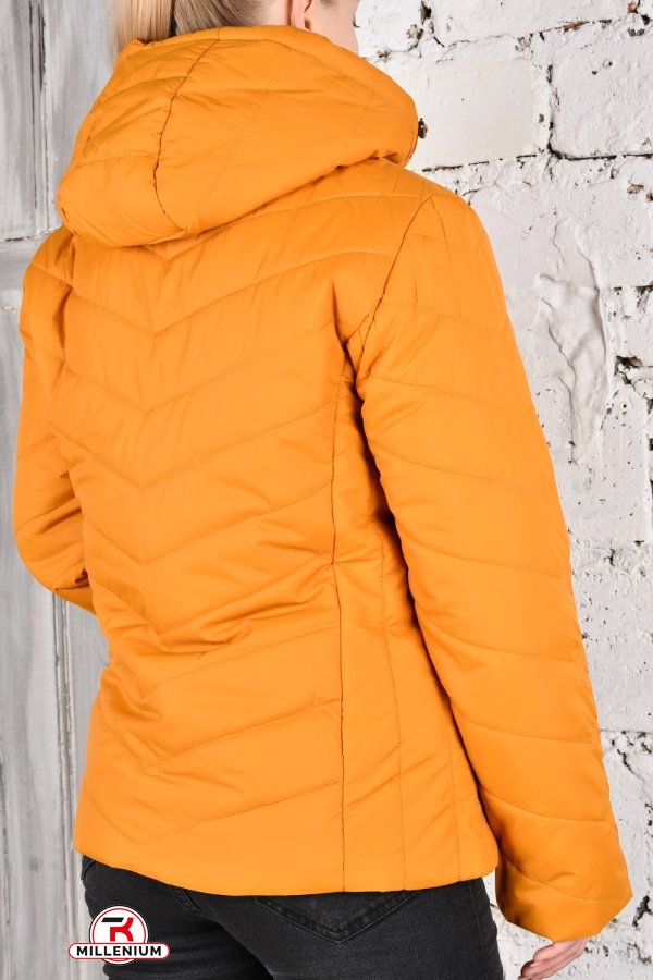 Куртка жіноча (цв. гірчичний) з плащової тканини демісезонна "FINEBELL" Розміри в наявності : 50, 54 арт.2036-1H