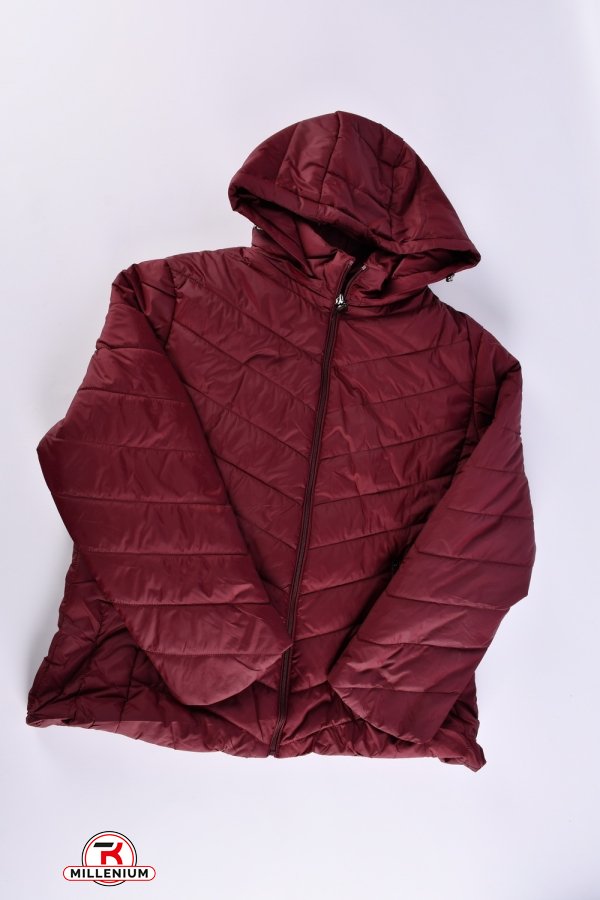 Куртка жіноча (кол. бордовий) з плащової тканини демісезонна "FINEBELL" Розміри в наявності : 44, 46, 48, 54 арт.2036-1H