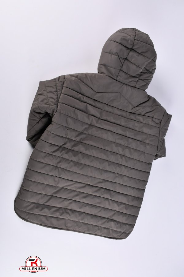 Куртка женская (цв.серый) из плащевки демисезонная "Saint Wish" Размеры в наличии : 54, 58 арт.7032