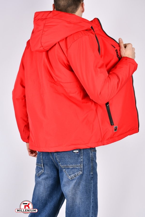 Куртка чоловіча демісезонна (кол. червоний) з плащівки Розміри в наявності : 48, 50, 52, 54, 56 арт.241