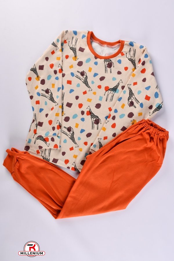 Пижама детская (цв. латте) (ткань интерлок) размер 128-134 арт.228334