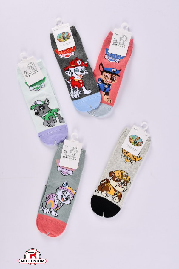 Шкарпетки для хлопчика вік 1-4 років (65% cotton, 30% polyester, 5% spandex) арт.M102-4