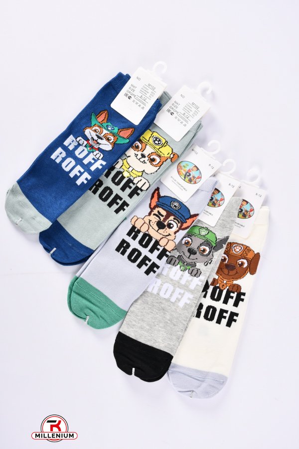 Шкарпетки для хлопчика віком 8-12 років (65% cotton, 30% polyester, 5% spandex) арт.M102-1
