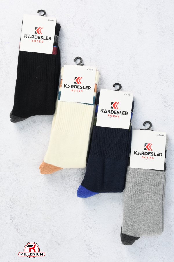 Шкарпетки чоловічі махрові p.43-46 (80% Cotton 17% Polyamide 3% Elastan) "Kardesler" арт.792129