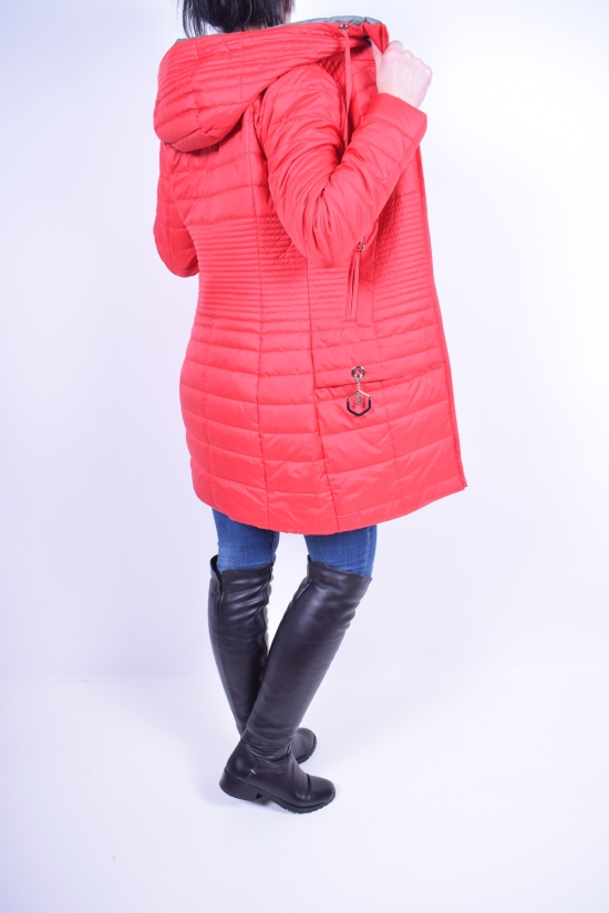Куртка жіноча з плащівка демісезонний (color D3) HaiLuoZi Розмір в наявності : 42 арт.18-19