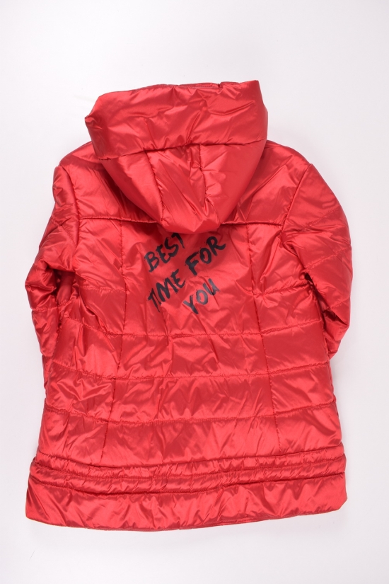 Куртка для девочки из плащёвки демисезонная (цв.бордовый) Рост в наличии : 158 арт.Рикардо