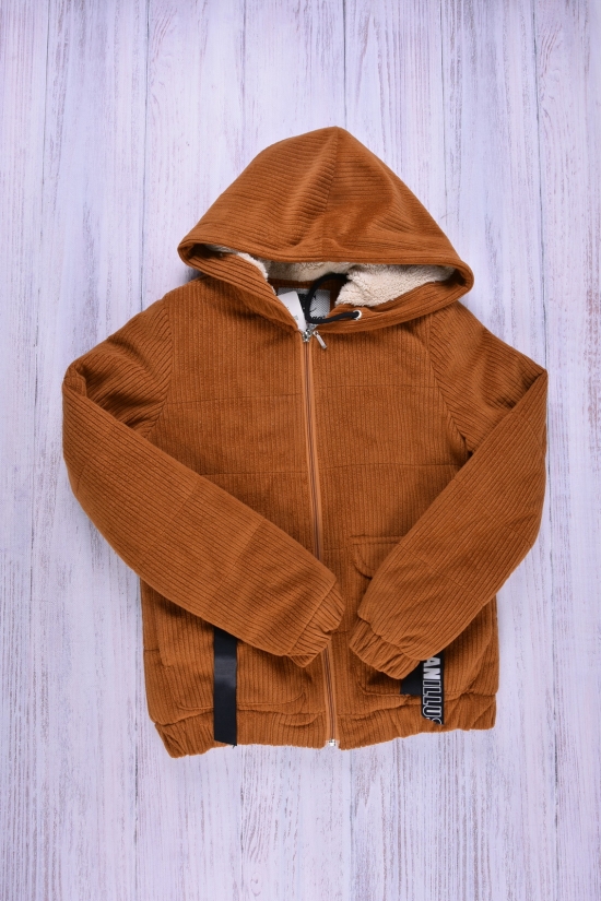 Куртка женская велюровая  (цв.терракотовый) демисезонная GREMONA Размер в наличии : 38 арт.3150