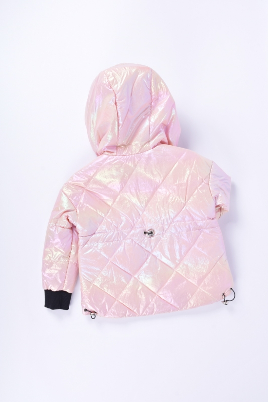 Куртка демисезонная для девочки(цв.розовый) из плащевки Рост в наличии : 98 арт.Эля