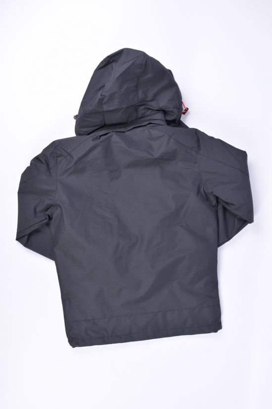 Куртка для хлопчика з плащової тканини (colour 6) демісезонна "AUDSA" Зріст в наявності : 146, 152 арт.BA21060