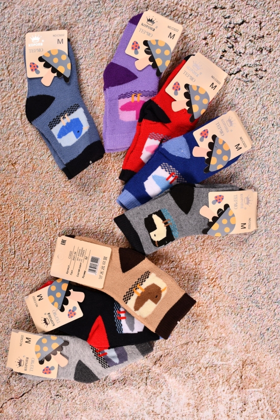 Шкарпетки для дівчинки махрові (M) (80% бавовна, 5% лайкра, 15% бамбук "Корона" розмір 2-4 арт.C3222