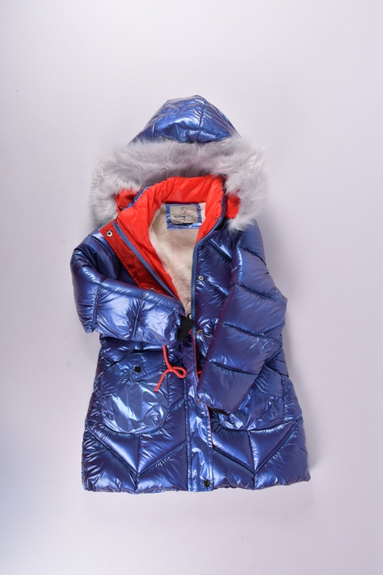 Куртка для дівчинки (кол. синій) зимова болонева Зріст в наявності : 140, 146, 152 арт.21-38