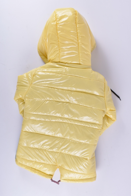 Куртка для девочки демисезонная (цв.мяты/жёлтый) Рост в наличии : 92, 98 арт.FASHION