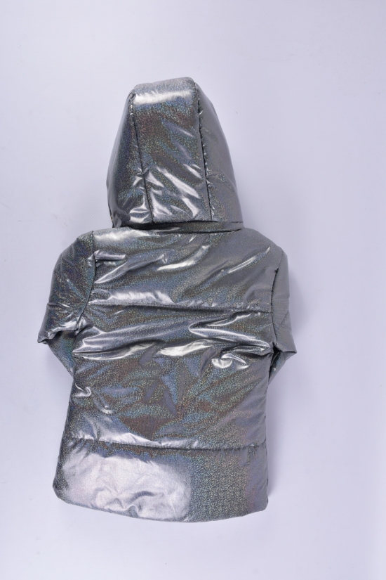 Куртка демисезонная для девочки (цв.серый) "PB" Рост в наличии : 104 арт.023