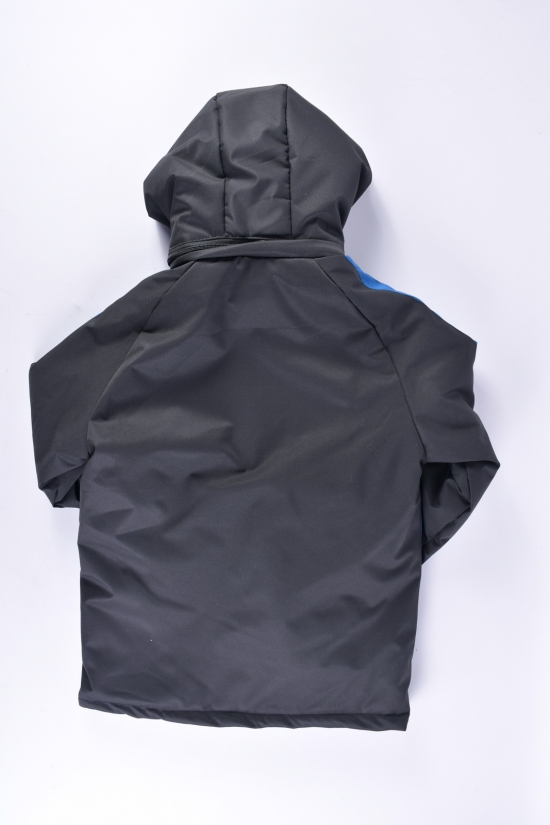 Куртка демісезонна для хлопчика (кол. чорний/синій) "PUMA" Зріст в наявності : 146 арт.42