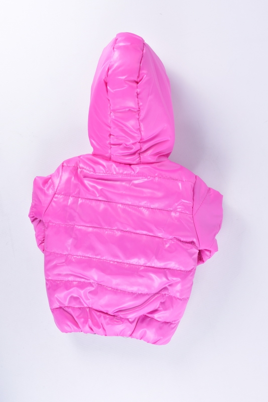 Куртка для дівчинки (кол. рожевий) демісезонна з плащівки Зріст в наявності : 92, 98 арт.TOMMY HILFIGER