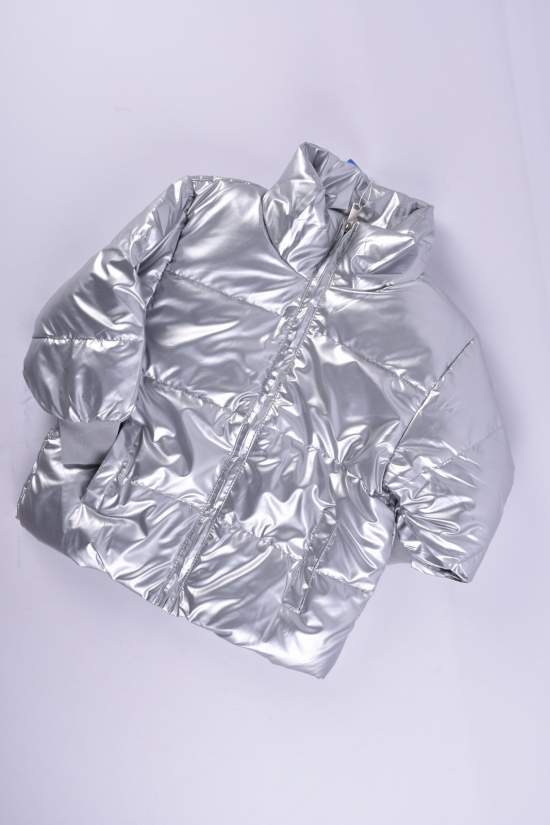 Куртка демісезонна (кол. срібло) для дівчинки болонева Зріст в наявності : 116, 122, 128 арт.03