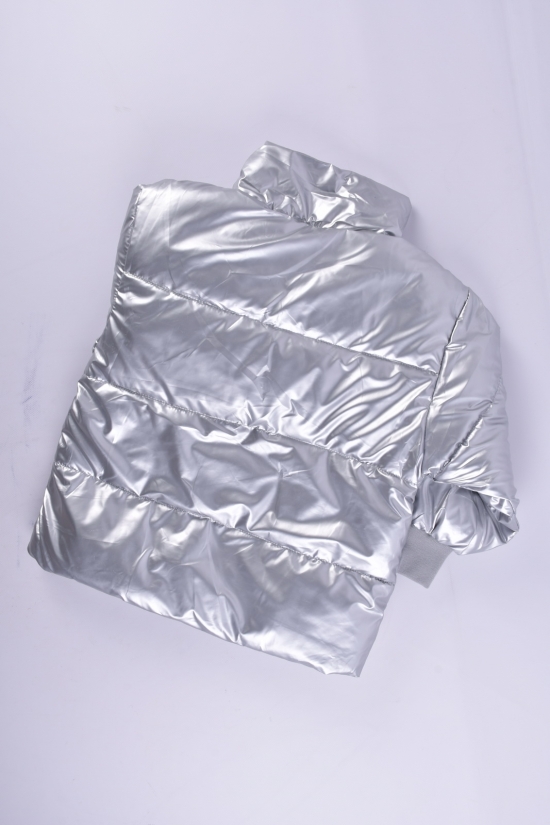 Куртка демисезонная (цв.серебро) для девочки болоневая Рост в наличии : 116, 122, 128 арт.03