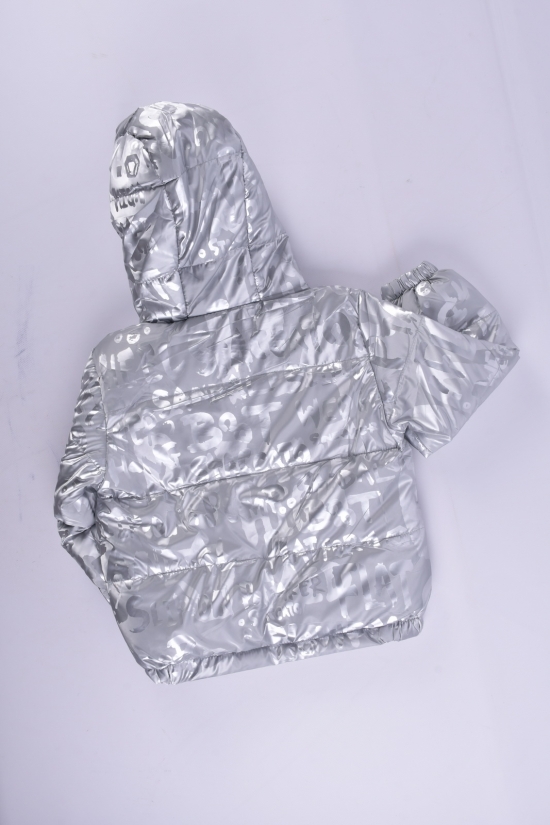 Куртка демісезонна (кол. срібло) для дівчинки болонева Зріст в наявності : 98, 104 арт.06
