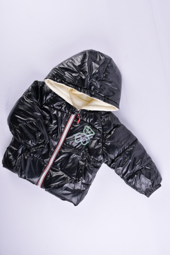 Куртка демісезонна дитяча (кол. чорний) болонева Зріст в наявності : 86, 104, 116 арт.DRTBEAR