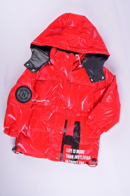 Куртка демисезонная детская (цв.красный) болоневая Рост в наличии : 104 арт.12