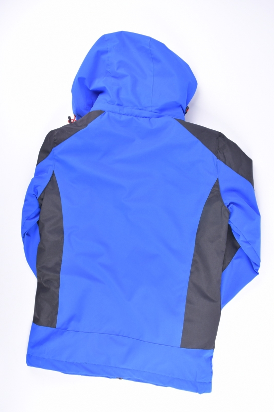 Куртка для хлопчика з плащової тканини (colour 3) демісезонна "AUDSA" Зріст в наявності : 140, 152, 158 арт.BA21132
