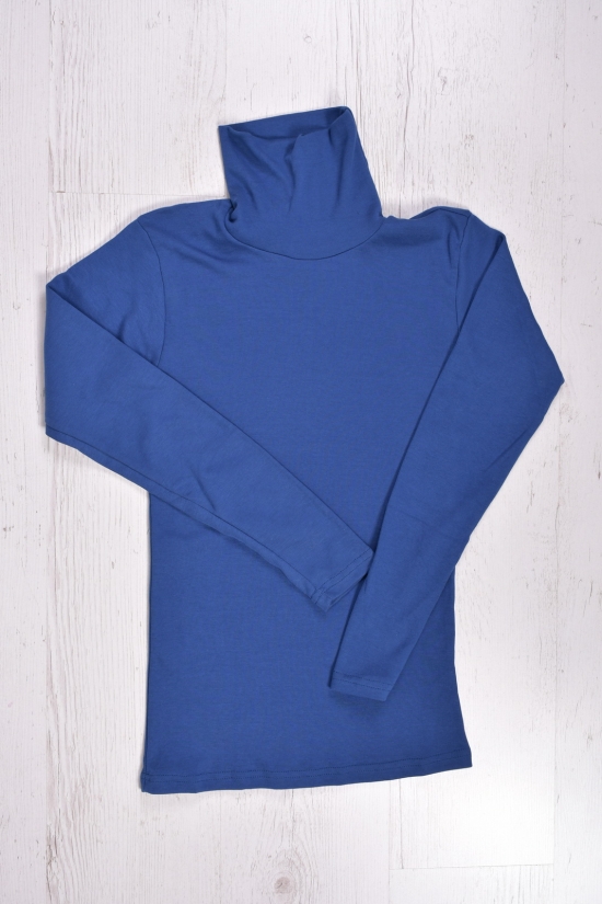 Водолазка чоловіча трикотажна (кол. синій) WILUSA (100%cotton) Розмір в наявності : 44 арт.630549